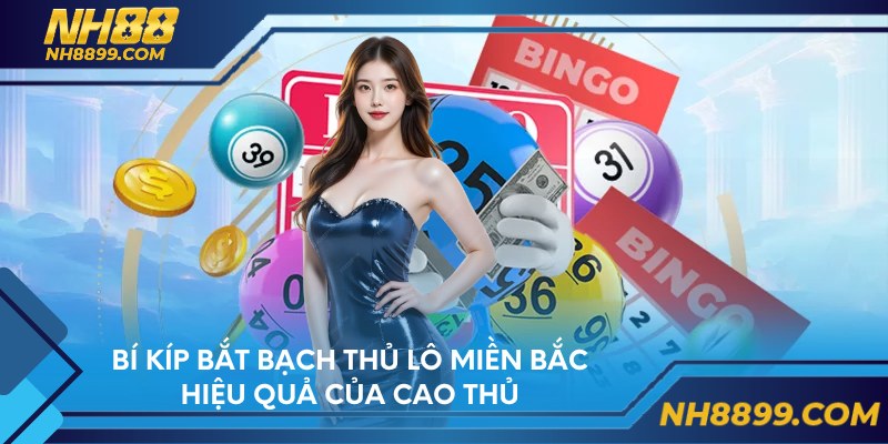 Bí kíp bắt bạch thủ lô miền Bắc hiệu quả của cao thủ