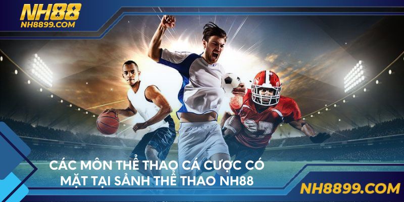 Các môn thể thao cá cược có mặt tại sảnh thể thao NH88