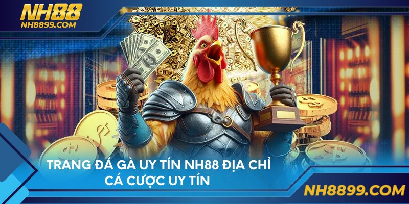 Trang đá gà uy tín NH88 địa chỉ cá cược uy tín