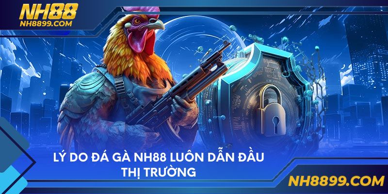 Lý do đá gà NH88 luôn dẫn đầu thị trường